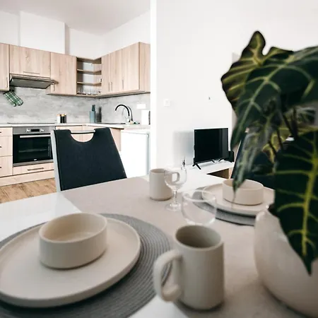 21 V Rezidenci Bily Lev Na Namesti Apartment Zdar Nad Sazavou